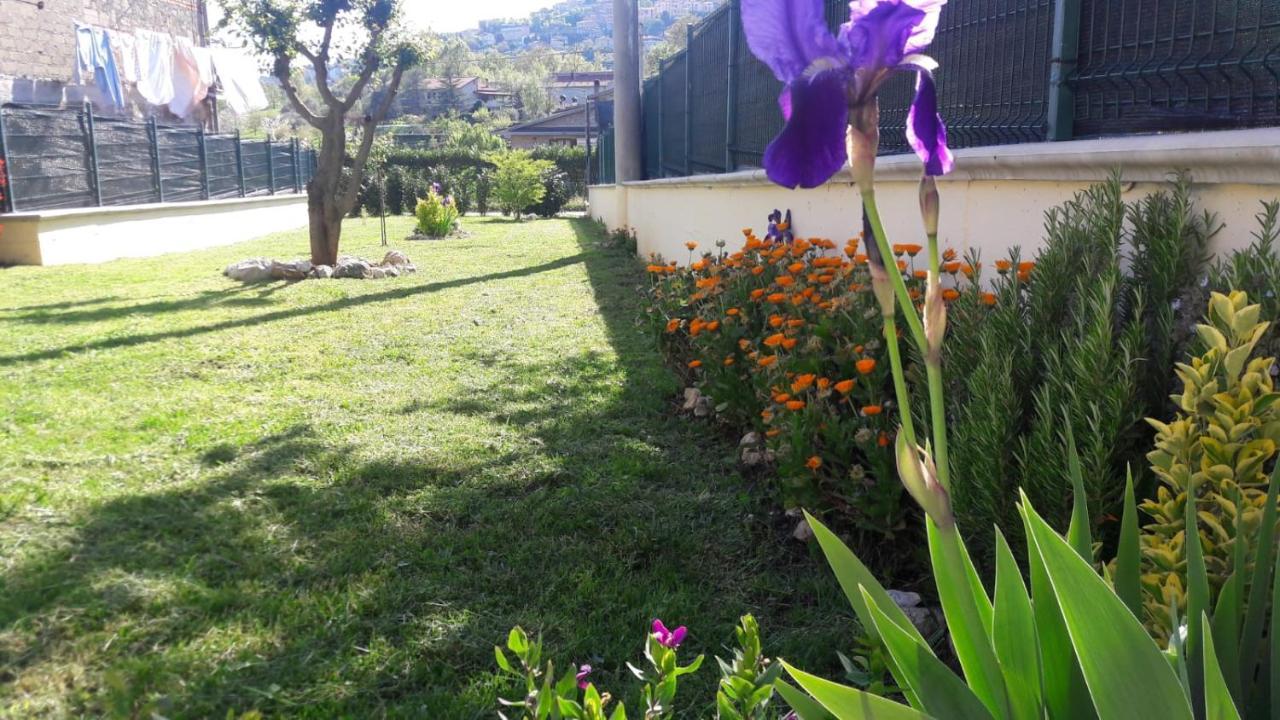 Villa La Casina Gialla Veroli Exterior foto